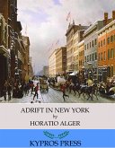 Adrift in New York (eBook, ePUB)