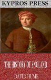 The History of England (eBook, ePUB)