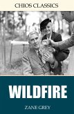 Wildfire (eBook, ePUB)