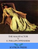 The Malefactor (eBook, ePUB)