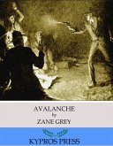 Avalanche (eBook, ePUB)