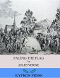 Facing the Flag (eBook, ePUB) - Bild 1