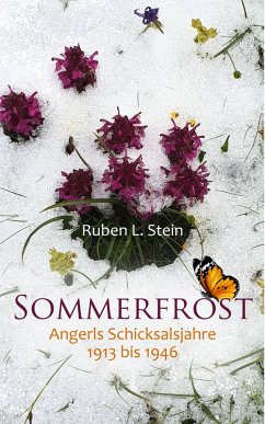 Sommerfrost (eBook, ePUB) - Stein, Ruben L.