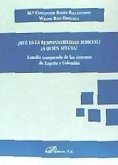 ¿Qué es la responsabilidad judicial? ¿A quién afecta? : estudio comparado de los sistemas de España y Colombia