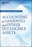 Accounting for Goodwill and Other Intangible Assets (eBook, PDF)