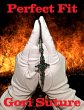 Perfect Fit (eBook, ePUB) - Bild 1