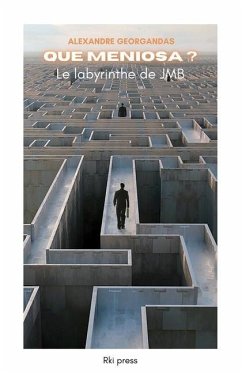 Cover Que meniosa ?: Le labyrinthe de JMB