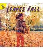 Leaves Fall