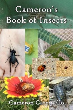 Cameron's Book of Insects - Carpinello, Cameron