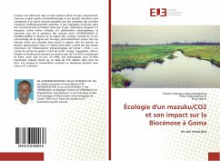 Écologie d'un mazuku/CO2 et son impact sur la Biocénose à Goma - Shamavu Mulumeoderhwa, Patient;Mukambilwa K., Pierre;Iragi B., King