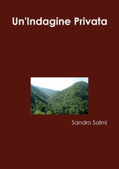 Un'Indagine Privata - Salmi, Sandro