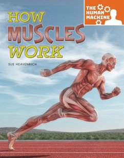 How Muscles Work - Heavenrich