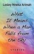 What It Means When a Man Falls from the... - Bild 1