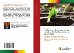 Morfologia e Histoquímica do Intestino Médio de Anticarsia gemmatalis - Cruz, Norberto