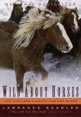 Wild about Horses: Our Timeless Passion for the Horse