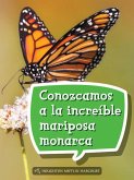 Book 089: Conozcamos a la Increíble Mariposa Monarca