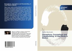 Perceptions, Conceptions and Peacebuilding: A Case Study in Mexico - Meschoulam, Mauricio