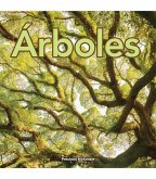 Árboles