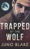 Trapped by the Wolf