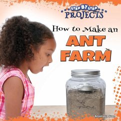 How to Make an Ant Farm - Suen