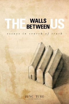 The Walls Between Us: Essays In Search of Truth - Workshops, Juncture