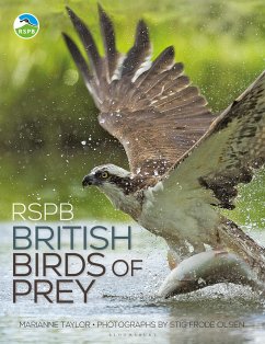 RSPB British Birds of Prey - Taylor, Marianne