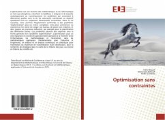 Optimisation sans contraintes - Bouali, Tahar;Belloufi, Mohamed;Guefaifia, Rafik