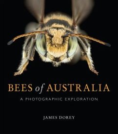 Bees of Australia - Dorey, James