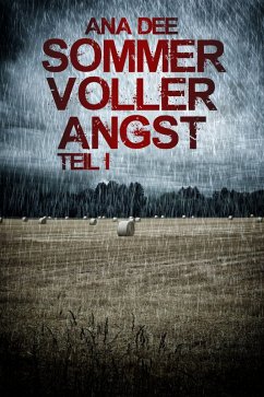 Cover Sommer voller Angst: Teil 1 (eBook, ePUB)