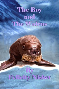 Cover The Boy and the Walrus (eBook, ePUB)