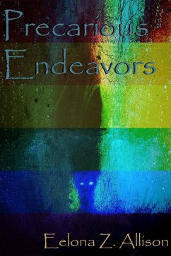Cover Precarious Endeavors (eBook, ePUB)