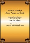 Practices to Benefit Pretas, Nagas and Spirits eBook (eBook, ePUB) Practices to Benefit Pretas, Nagas and Spirits eBook (eBook, ePUB)