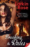 Breaking the Rules (eBook, ePUB)