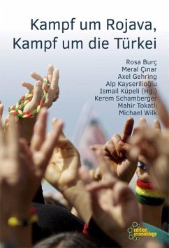 Kampf um Afrin, Kampf um die Türkei - Wilk, Michael