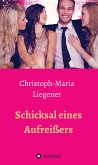 Schicksal eines Aufreißers (eBook, ePUB)