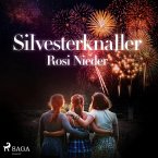 Silvesterknaller - Vulkanausbruch in der Eifel 2010/11 (Ungekürzt) (MP3-Download)