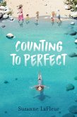Counting to Perfect (eBook, ePUB)