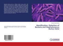 Identification, Detection of Bacteria and Staphylococcus Aureus Gene