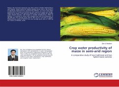 Crop water productivity of maize in semi-arid region
