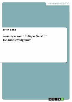 Aussagen zum Heiligen Geist im Johannesevangelium (eBook, PDF) - Böke, Erich