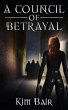 A Council of Betrayal (The Succubus... - Bild 1