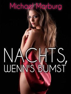 Nachts, wenns bumst (eBook, ePUB) - Marburg, Michael