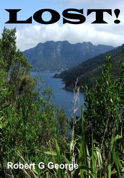 Cover Lost (eBook, ePUB)