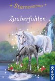 Zauberfohlen / Sternenschweif Bd.60 (eBook, ePUB)