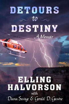 Detours to Destiny: A Memoir (eBook, ePUB) - Halvorson, Elling