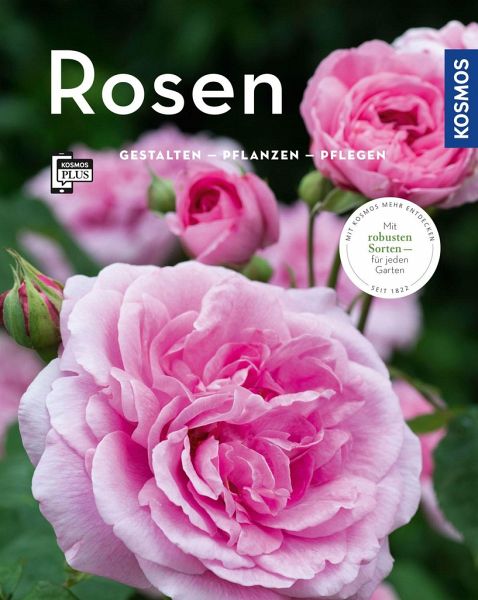 Rosen (Mein Garten) von Gabriele Richter; Thomas Proll portofrei bei  bücher.de bestellen