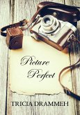 Picture Perfect (A Perfect Short Story) (eBook, ePUB)