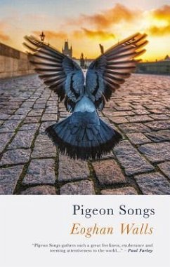 Pigeon Songs - Walls, Eoghan