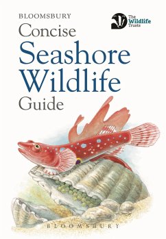 Concise Seashore Wildlife Guide - Bloomsbury