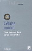 Células madre